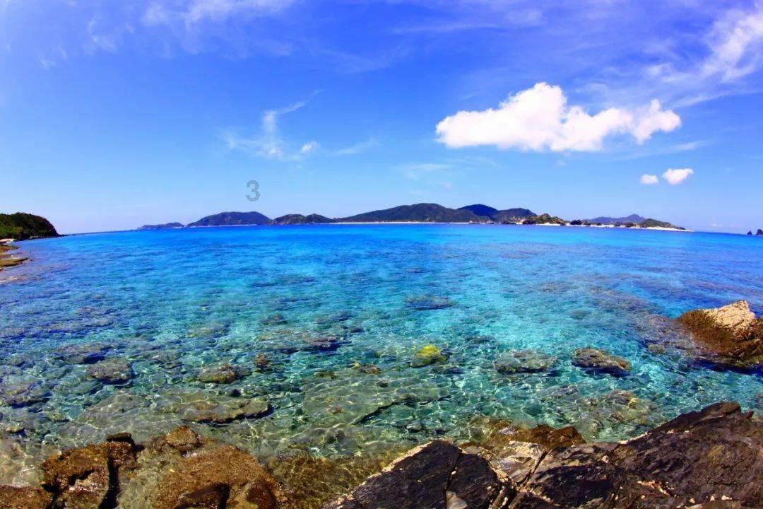 全麦面包高血压能吃吗游戏画面